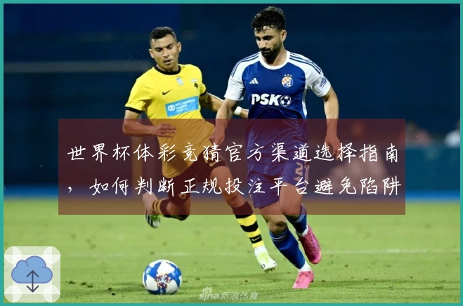 世界杯体彩竞猜官方渠道选择指南，如何判断正规投注平台避免陷阱